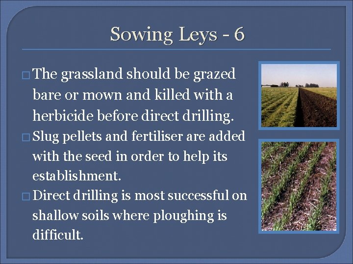 Sowing Leys - 6 � The grassland should be grazed bare or mown and