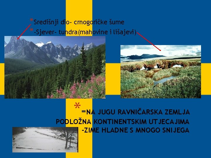 *Središnji dio- crnogoričke šume *-Sjever- tundra(mahovine i lišajevi) * NA JUGU RAVNIČARSKA ZEMLJA PODLOŽNA
