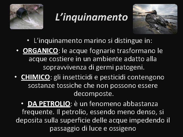 L’inquinamento • L’inquinamento marino si distingue in: • ORGANICO: le acque fognarie trasformano le