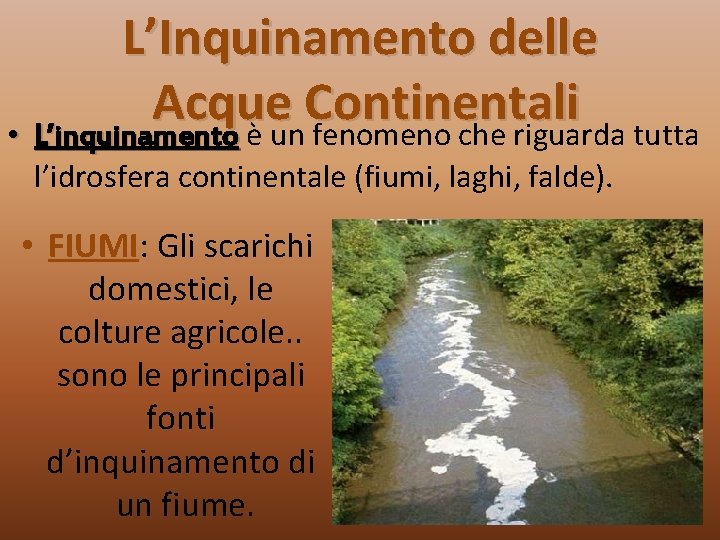 L’Inquinamento delle Acque Continentali • L’inquinamento è un fenomeno che riguarda tutta l’idrosfera continentale
