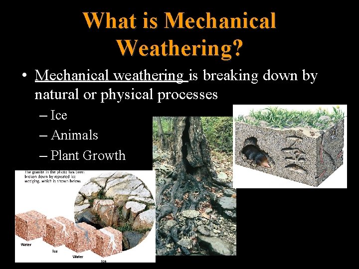What is Mechanical Weathering? • Mechanical weathering is breaking down by natural or physical
