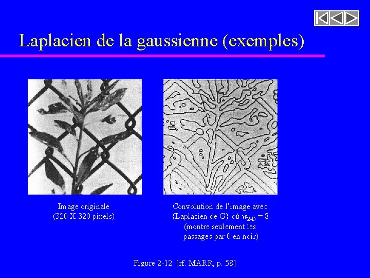 Laplacien de la gaussienne (exemples) Image originale (320 X 320 pixels) Convolution de l’image