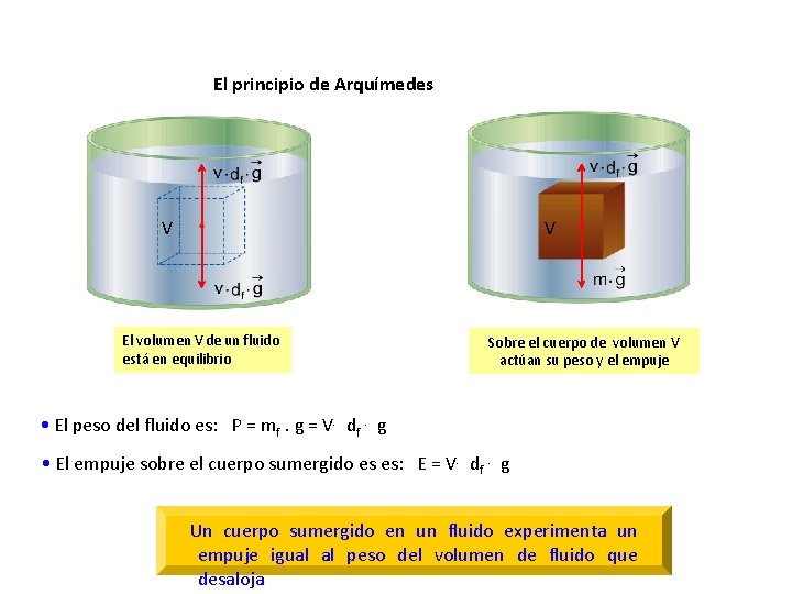 El principio de Arquímedes V V El volumen V de un fluido está en