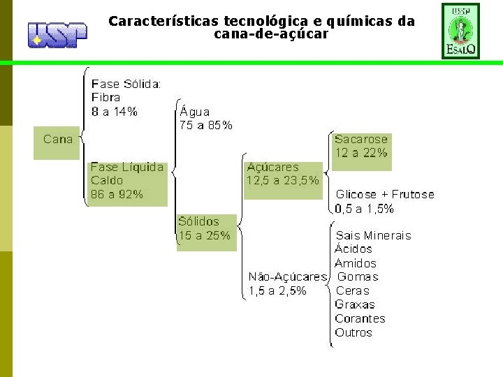 Características tecnológica e químicas da cana-de-açúcar Caldo. Celulose 84 -91% Pentosanas (xilana, arabana, etc.