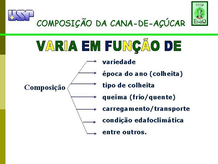 COMPOSIÇÃO DA CANA-DE-AÇÚCAR variedade época do ano (colheita) Composição tipo de colheita queima (frio/quente)