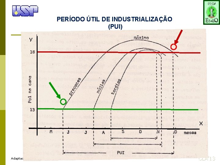 PERÍODO ÚTIL DE INDUSTRIALIZAÇÃO (PUI) y X Adaptado de Delgado & César (1990) CLA’