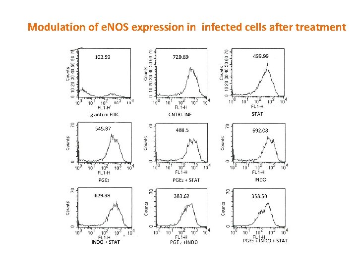 Modulation of e. NOS expression in infected cells after treatment 