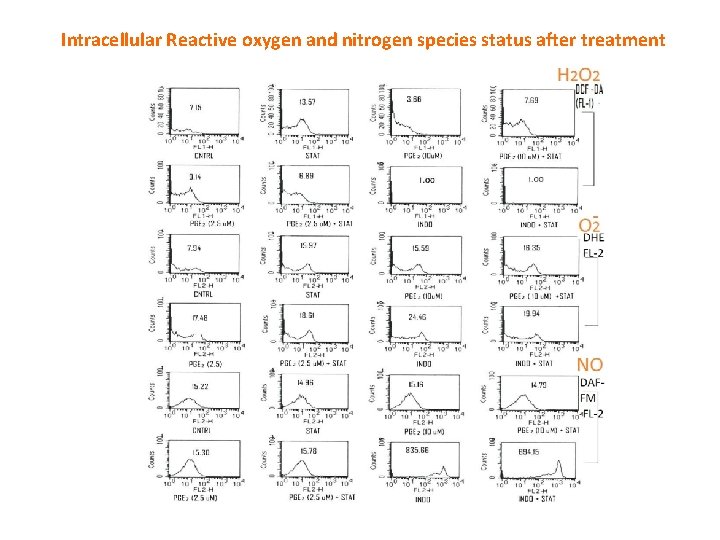 Intracellular Reactive oxygen and nitrogen species status after treatment 