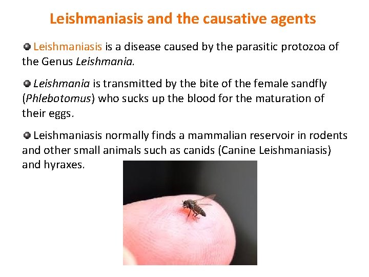 Leishmaniasis and the causative agents Leishmaniasis is a disease caused by the parasitic protozoa