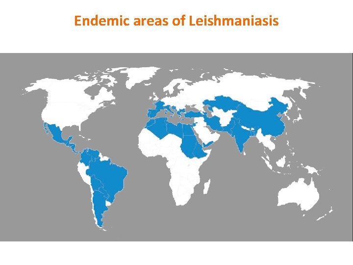 Endemic areas of Leishmaniasis 