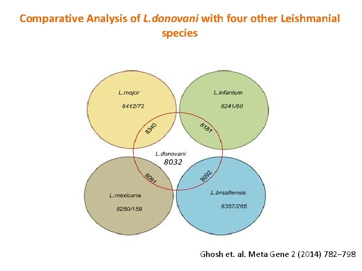 Comparative Analysis of L. donovani with four other Leishmanial species Ghosh et. al. Meta