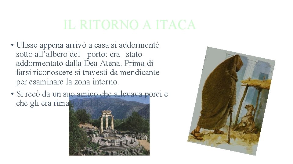 IL RITORNO A ITACA • Ulisse appena arrivò a casa si addormentò sotto all’albero