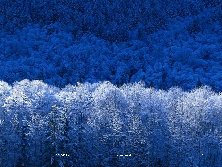 11/24/2020 alen vukelić, dr 11 