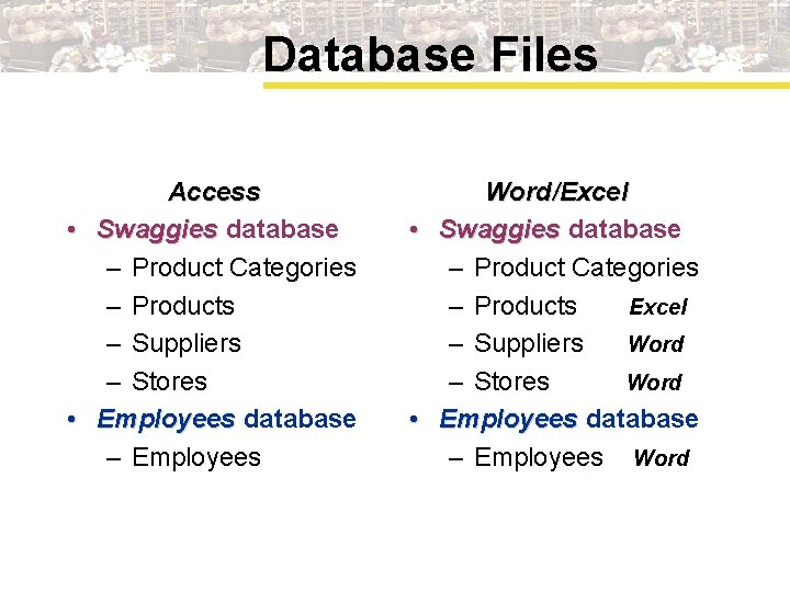 Database Files Access • Swaggies database – Product Categories – Products – Suppliers –