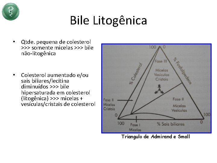 Bile Litogênica • Qtde. pequena de colesterol >>> somente micelas >>> bile não-litogênica •