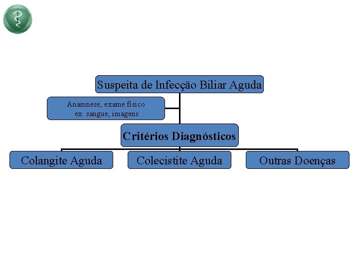 Suspeita de Infecção Biliar Aguda Anamnese, exame físico ex. sangue, imagens Critérios Diagnósticos Colangite