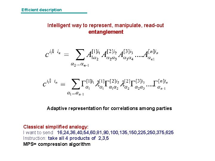 Efficient description Intelligent way to represent, manipulate, read-out entanglement Adaptive representation for correlations among