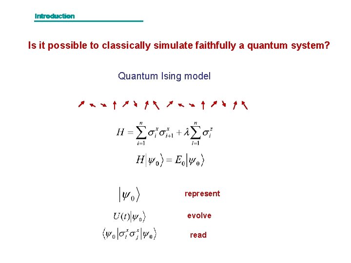 Introduction Is it possible to classically simulate faithfully a quantum system? Quantum Ising model