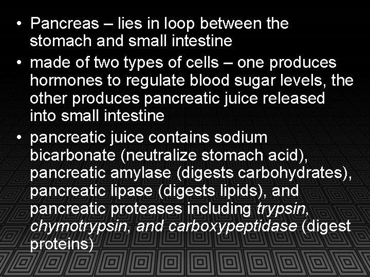  • Pancreas – lies in loop between the stomach and small intestine •