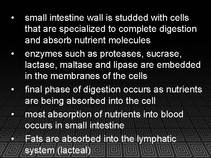  • • • small intestine wall is studded with cells that are specialized