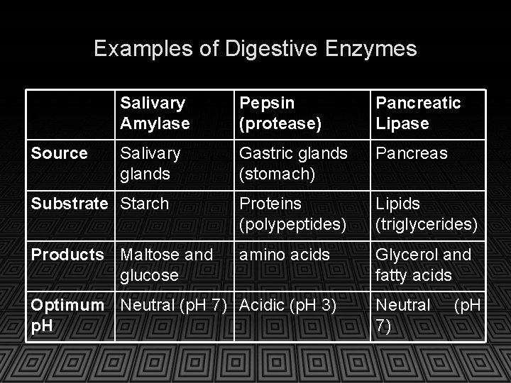 Examples of Digestive Enzymes Salivary Amylase Pepsin (protease) Pancreatic Lipase Salivary glands Gastric glands