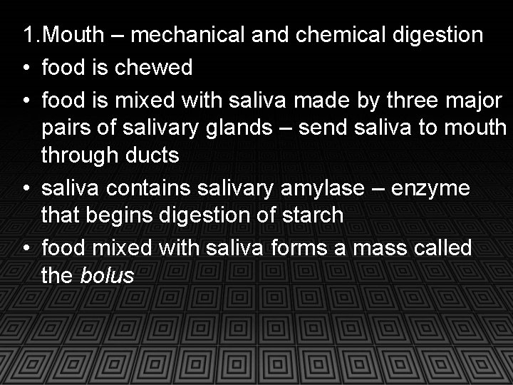 1. Mouth – mechanical and chemical digestion • food is chewed • food is