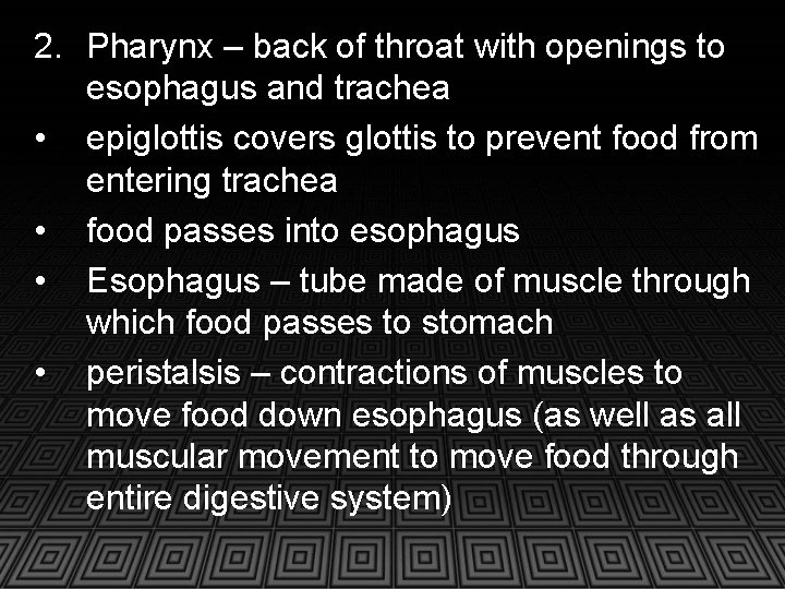 2. Pharynx – back of throat with openings to esophagus and trachea • epiglottis