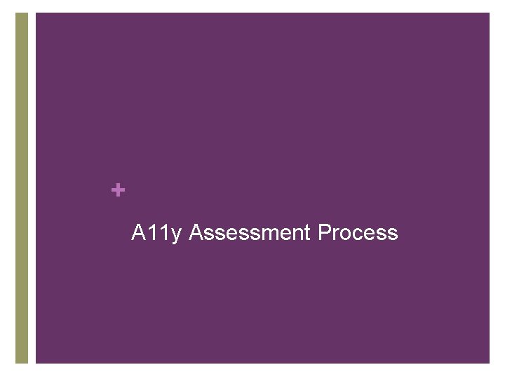 + A 11 y Assessment Process 