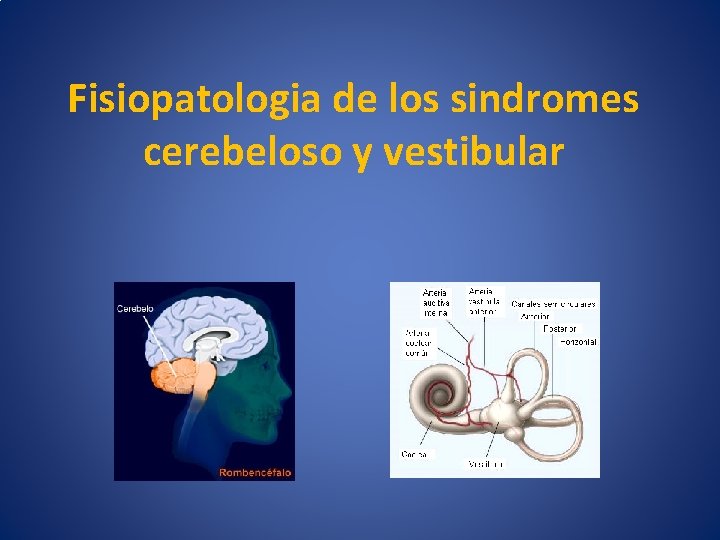 Fisiopatologia de los sindromes cerebeloso y vestibular 
