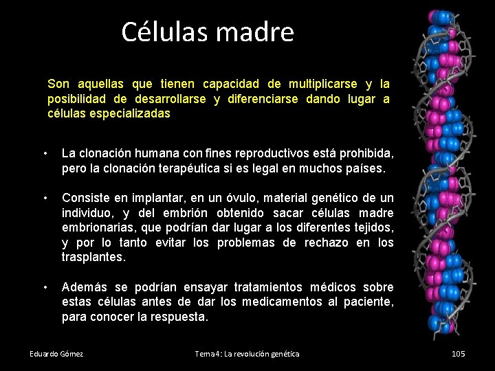 Células madre Son aquellas que tienen capacidad de multiplicarse y la posibilidad de desarrollarse