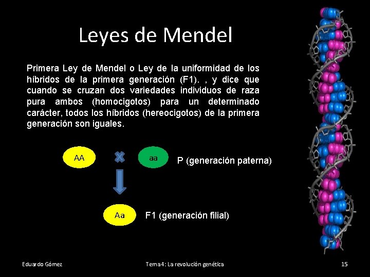 Leyes de Mendel Primera Ley de Mendel o Ley de la uniformidad de los