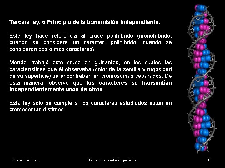 Tercera ley, o Principio de la transmisión independiente: Esta ley hace referencia al cruce