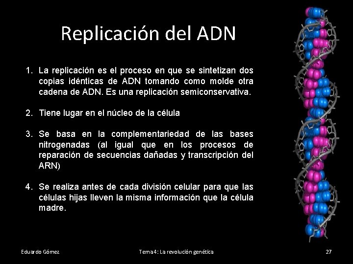 Replicación del ADN 1. La replicación es el proceso en que se sintetizan dos
