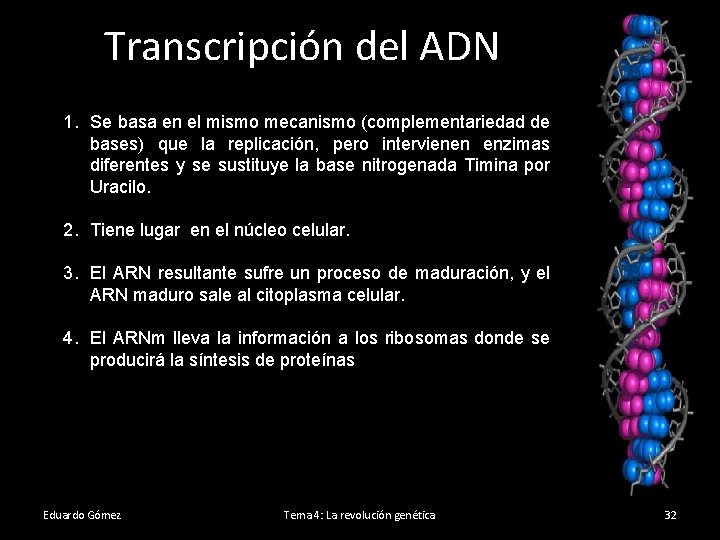 Transcripción del ADN 1. Se basa en el mismo mecanismo (complementariedad de bases) que