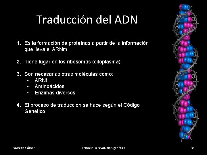 Traducción del ADN 1. Es la formación de proteínas a partir de la información