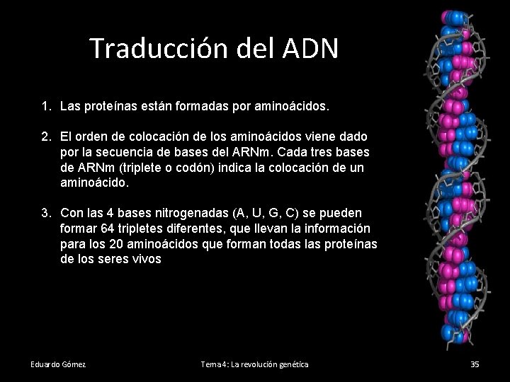 Traducción del ADN 1. Las proteínas están formadas por aminoácidos. 2. El orden de