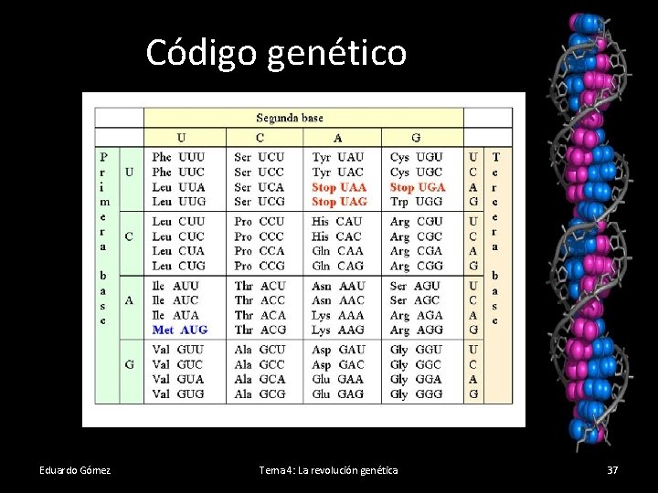 Código genético Eduardo Gómez Tema 4: La revolución genética 37 