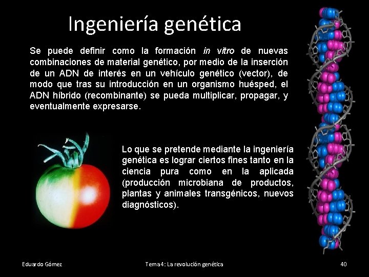 Ingeniería genética Se puede definir como la formación in vitro de nuevas combinaciones de