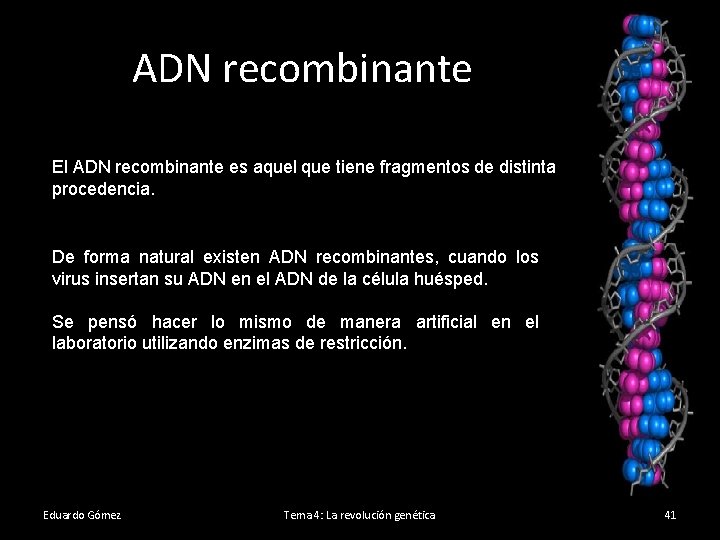 ADN recombinante El ADN recombinante es aquel que tiene fragmentos de distinta procedencia. De