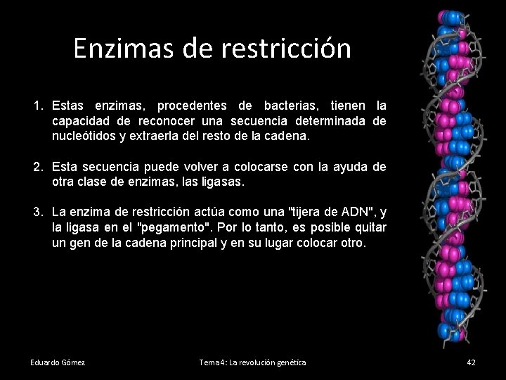 Enzimas de restricción 1. Estas enzimas, procedentes de bacterias, tienen la capacidad de reconocer