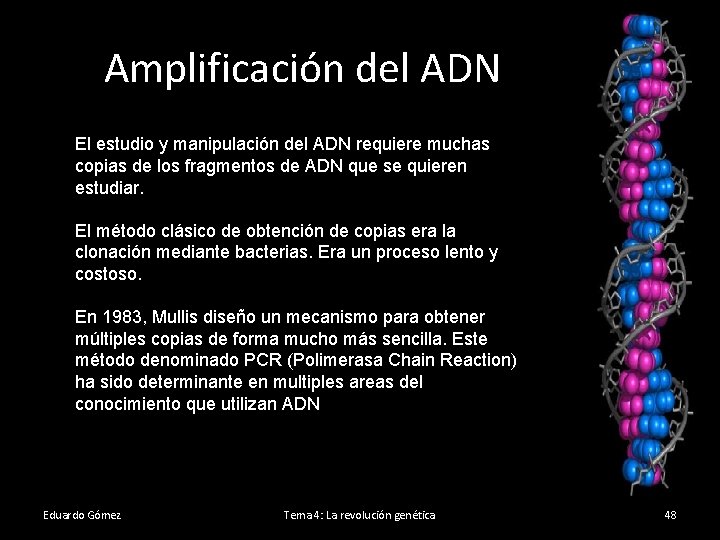 Amplificación del ADN El estudio y manipulación del ADN requiere muchas copias de los