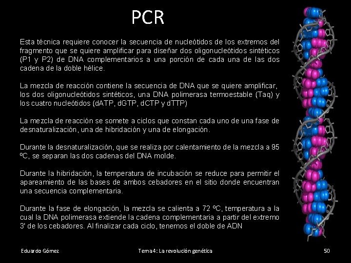 PCR Esta técnica requiere conocer la secuencia de nucleótidos de los extremos del fragmento