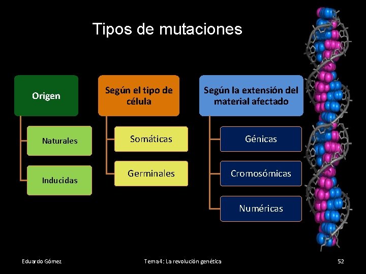 Tipos de mutaciones Origen Naturales Inducidas Según el tipo de célula Según la extensión