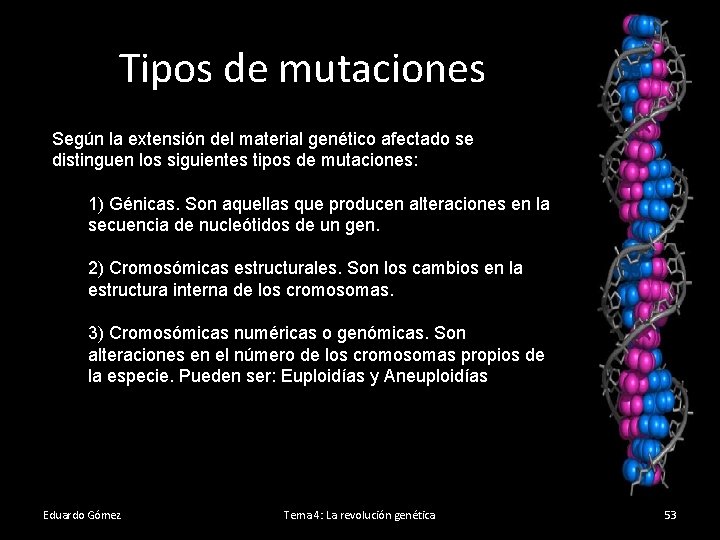 Tipos de mutaciones Según la extensión del material genético afectado se distinguen los siguientes