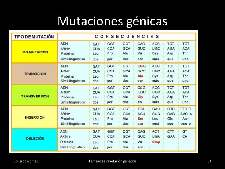 Mutaciones génicas Eduardo Gómez Tema 4: La revolución genética 54 