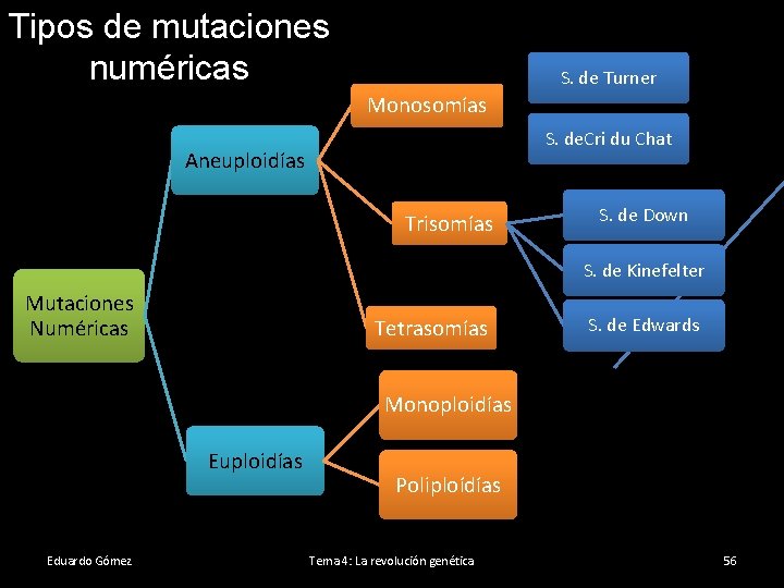 Tipos de mutaciones numéricas S. de Turner Monosomías S. de. Cri du Chat Aneuploidías