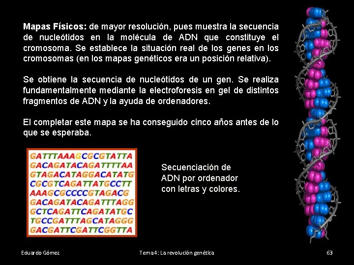 Mapas Físicos: de mayor resolución, pues muestra la secuencia de nucleótidos en la molécula