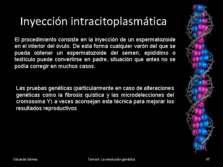 Inyección intracitoplasmática El procedimiento consiste en la inyección de un espermatozoide en el interior