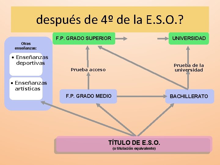 después de 4º de la E. S. O. ? F. P. GRADO SUPERIOR UNIVERSIDAD