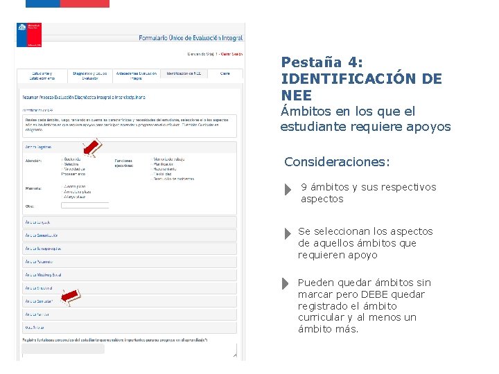 Pestaña 4: IDENTIFICACIÓN DE NEE Ámbitos en los que el estudiante requiere apoyos Consideraciones: